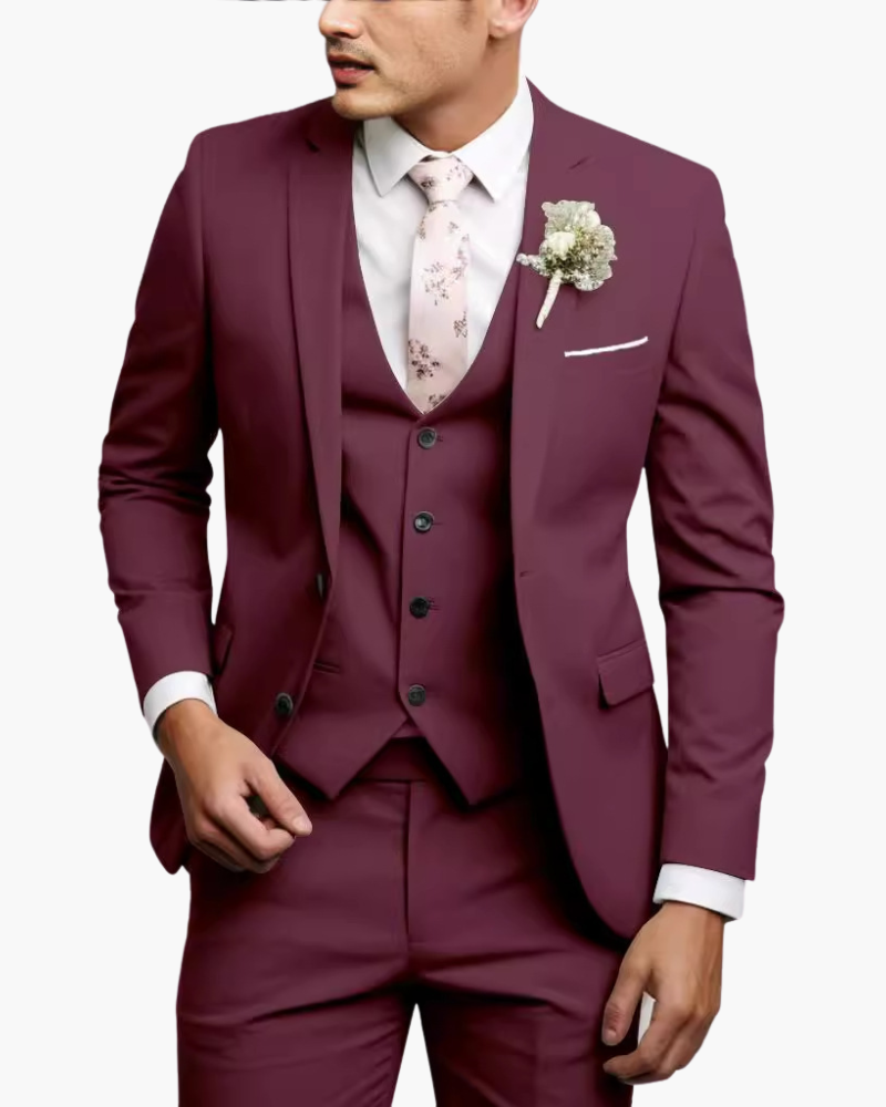 Costume 3 Pièces Homme Blazer Gilet Pantalon | Tenue Élégante
